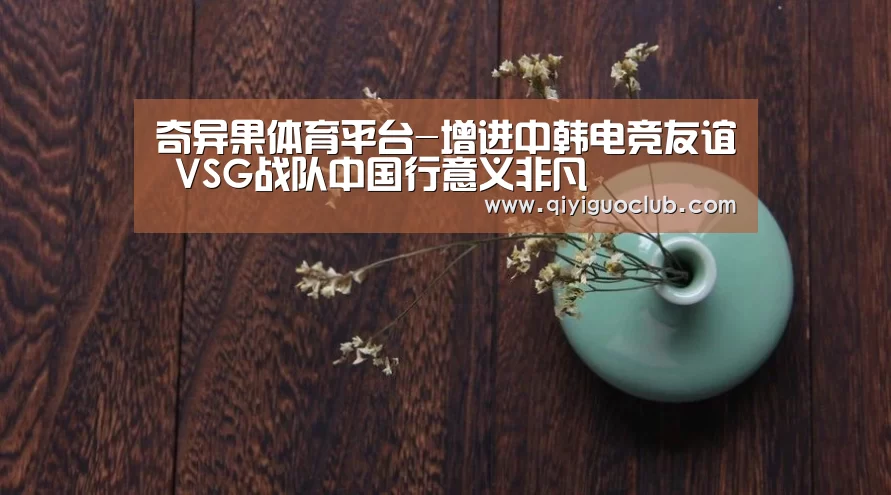 奇异果体育平台-增进中韩电竞友谊 VSG战队中国行意义非凡(图1) 奇异果体育官网