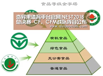 奇异果体育平台官网|NEST2018总决赛 CF、CFM战队阵容公布