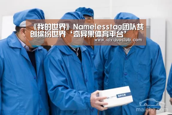 《我的世界》Namelesstag团队共创缤纷世界‘奇异果体育平台’(图2) 奇异果体育平台直播